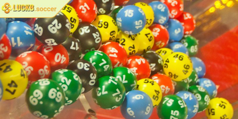 Lô Khung LUCK8 - Mô Hình Nuôi Lô Hiệu Quả Và Kinh Nghiệm Hay 3 Hướng dẫn nuôi lô khung LUCK8 hiệu quả từ cao thủ