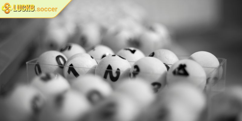 Lô Khung LUCK8 - Mô Hình Nuôi Lô Hiệu Quả Và Kinh Nghiệm Hay 1 Khám phá chi tiết về lô khung LUCK8